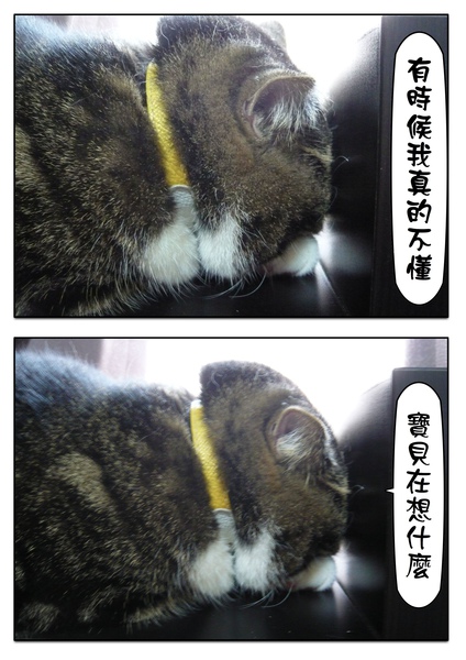 Page_1.jpg Page_1.jpg