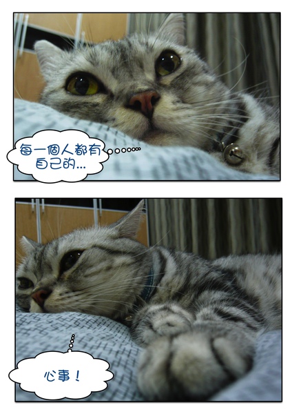 Page_7.jpg Page_7.jpg