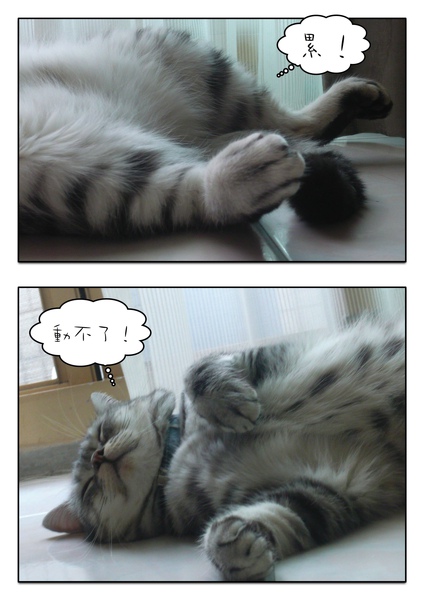 Page_1.jpg Page_1.jpg