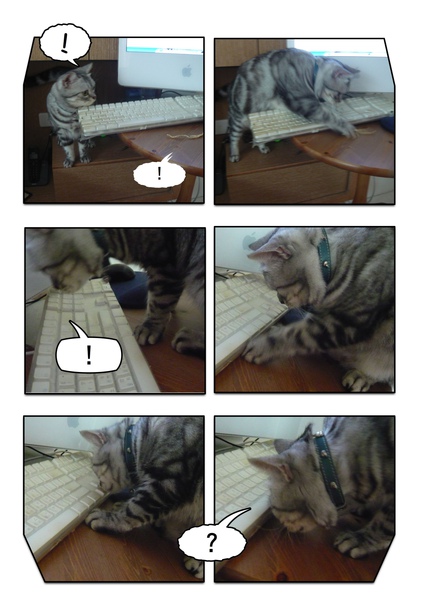 Page_1.jpg Page_1.jpg