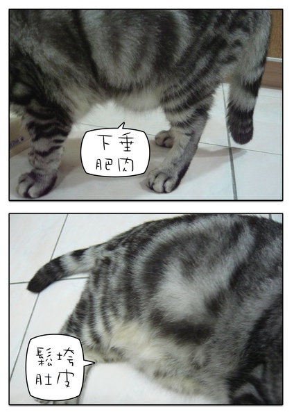 Page_1.jpg Page_1.jpg