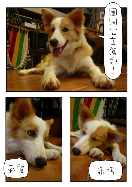 Page_1.jpg Page_1.jpg