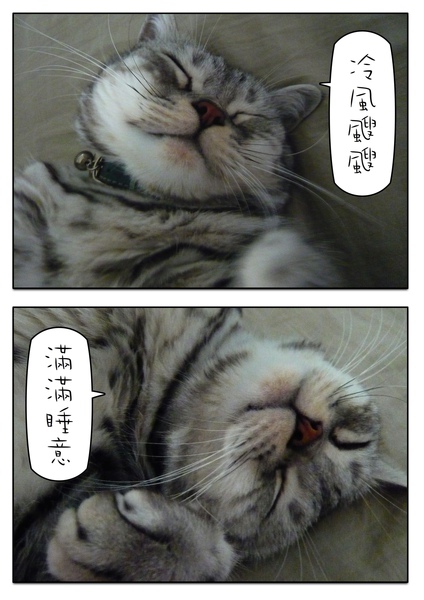 Page_1.jpg Page_1.jpg