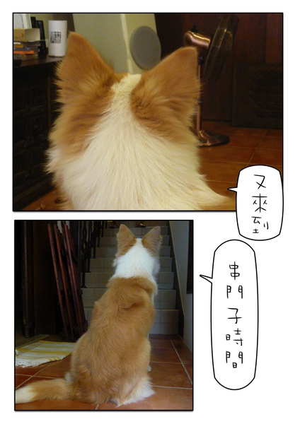 Page_1.jpg Page_1.jpg