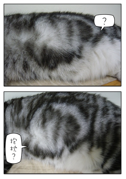 Page_1.jpg Page_1.jpg