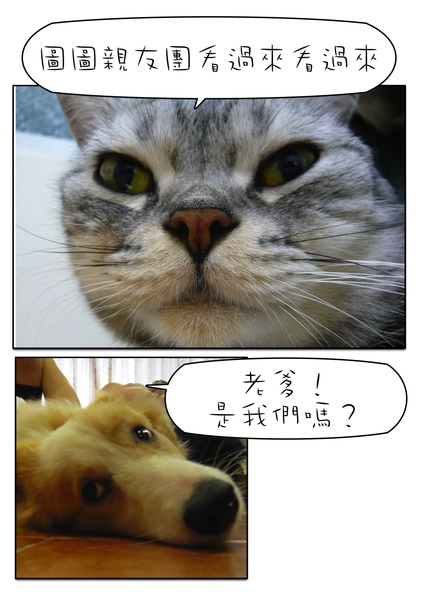 Page_1.jpg Page_1.jpg