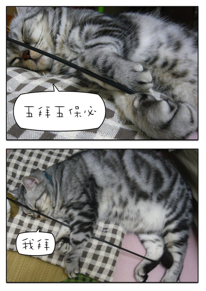 Page_1.jpg Page_1.jpg