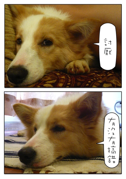 Page_1.jpg Page_1.jpg