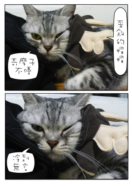 Page_5.jpg Page_5.jpg