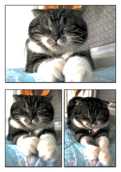 Page_2.jpg Page_2.jpg