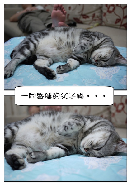 Page_1.jpg Page_1.jpg