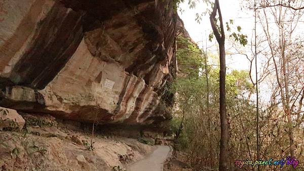 泰國烏汶府帕登國家公園 Pha taem national 