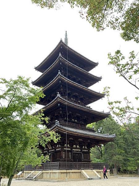 ［京都自駕遊］京都寺廟走斷腿之旅