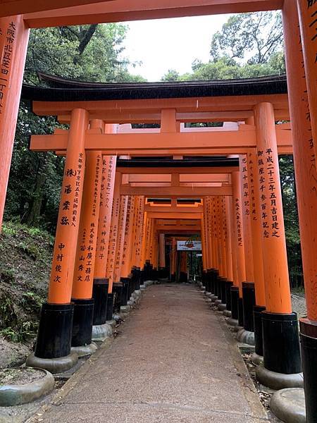 ［京都自駕遊］京都寺廟走斷腿之旅