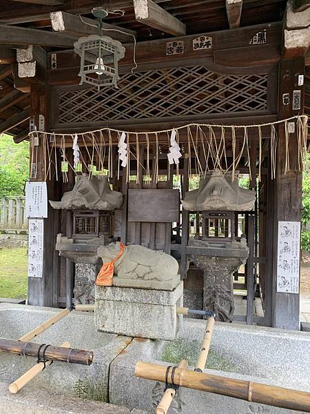 ［京都自駕遊］京都寺廟走斷腿之旅