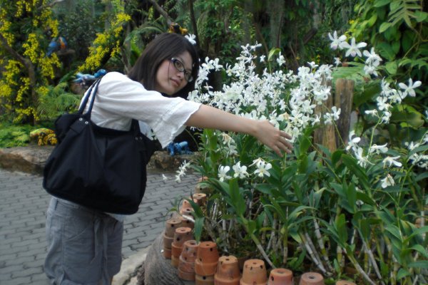 花花兒,把你們的香味都送我吧