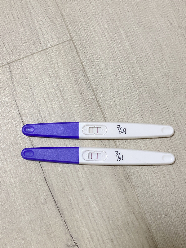 IMG_7004.jpg IMG_7004.jpg