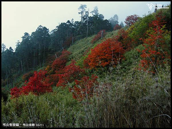 雪山聖稜線043.jpg