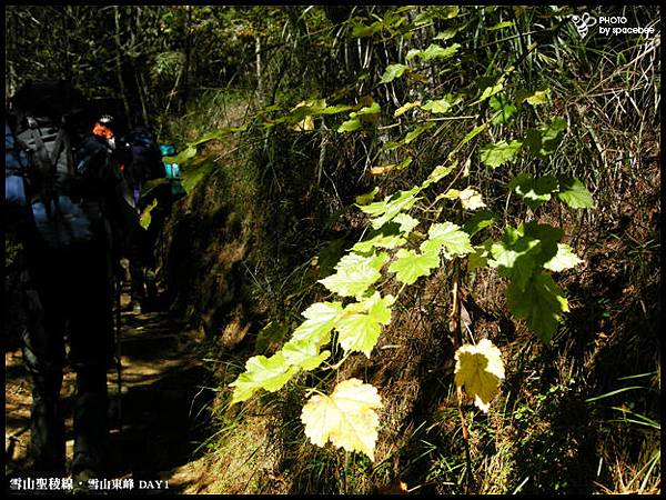 雪山聖稜線014.jpg