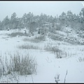 雪山賞雪-91.jpg