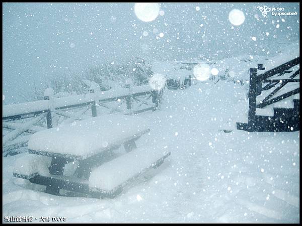 雪山賞雪-77.jpg