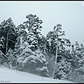 雪山賞雪-95.jpg