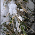 雪山賞雪-129.jpg