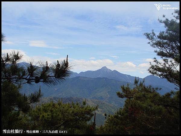 雪山杜鵑19.jpg