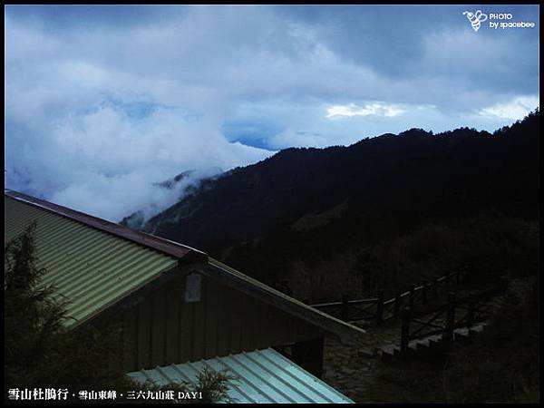 雪山杜鵑56.jpg