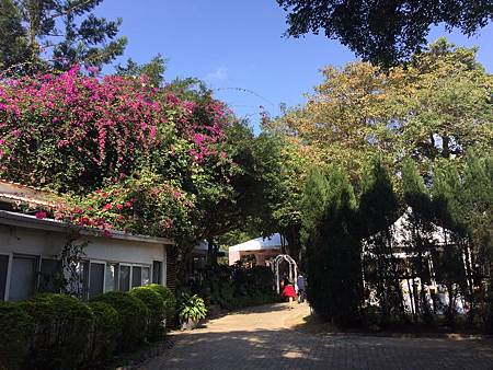 1485062386012.jpg 1485062386012.jpg