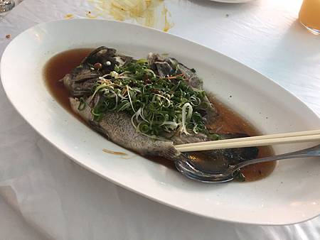 1485067022119.jpg 1485067022119.jpg