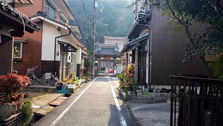 IMG_20181126_095728_3.jpg IMG_20181126_095728_3.jpg