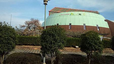 IMG_20181126_094824_8.jpg IMG_20181126_094824_8.jpg