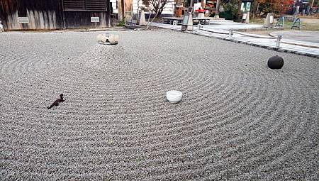 IMG_20181126_095930_6.jpg IMG_20181126_095930_6.jpg