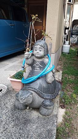 IMG_20181126_101711_4.jpg IMG_20181126_101711_4.jpg