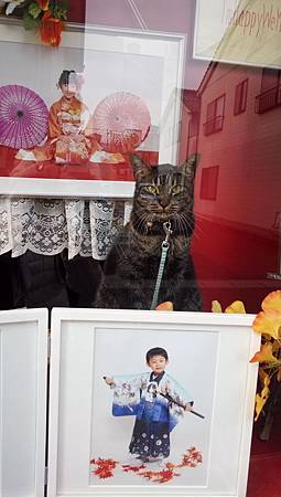 IMG_20181126_102731_8.jpg IMG_20181126_102731_8.jpg