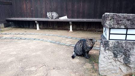 IMG_20181126_102429_6.jpg IMG_20181126_102429_6.jpg