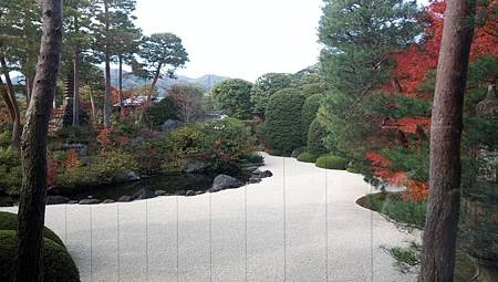 IMG_20181126_130359_5.jpg IMG_20181126_130359_5.jpg