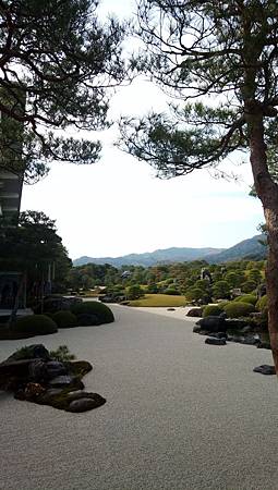 IMG_20181126_130458_8.jpg IMG_20181126_130458_8.jpg