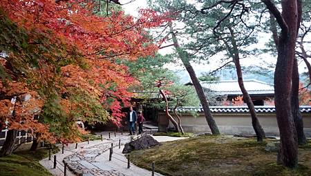 IMG_20181126_130821_0.jpg IMG_20181126_130821_0.jpg