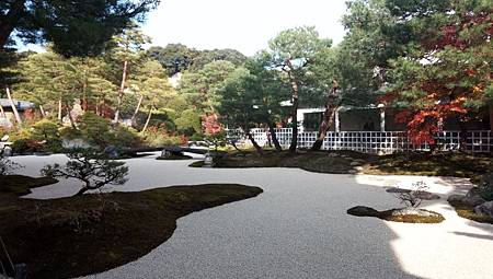 IMG_20181126_131332_7.jpg IMG_20181126_131332_7.jpg