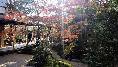 IMG_20181126_133151_1.jpg IMG_20181126_133151_1.jpg