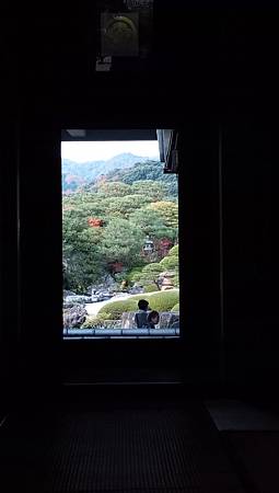 IMG_20181126_133536_0.jpg IMG_20181126_133536_0.jpg