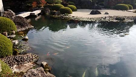 IMG_20181126_133320_1.jpg IMG_20181126_133320_1.jpg