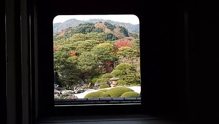 IMG_20181126_133627_7.jpg IMG_20181126_133627_7.jpg