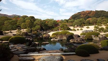 IMG_20181126_133754_3.jpg IMG_20181126_133754_3.jpg