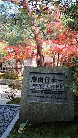 IMG_20181126_134652_1.jpg IMG_20181126_134652_1.jpg