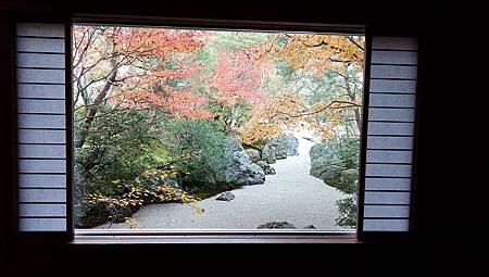 IMG_20181126_135624_5.jpg IMG_20181126_135624_5.jpg