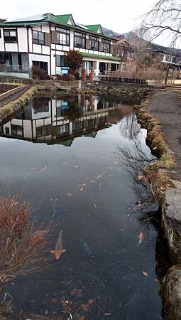 IMG_20190208_140230_0.jpg IMG_20190208_140230_0.jpg