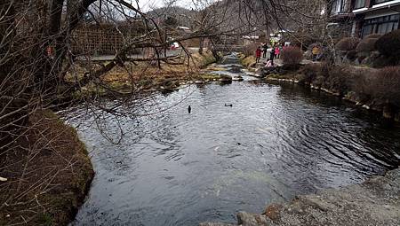 IMG_20190208_141628_7.jpg IMG_20190208_141628_7.jpg